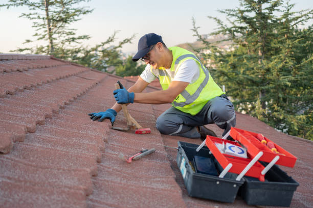 Best Metal Roofing Contractor  in Bolivar, WV
